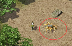 探寻新藏宝阁两种方法取得技术书外满足不同玩家的需求