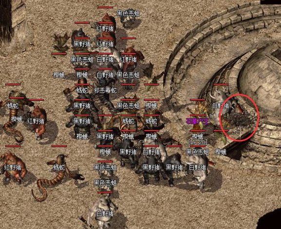 优先将金币用于晋级技能如战士的‘半月弯刀’升至3级